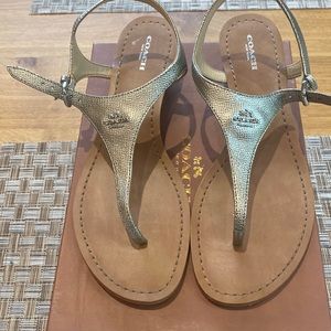 Coach Vitalia Met Crossgrain Bright Silver Sandal with Skinny Wedge